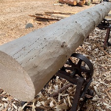 Poles & Logs, peeled or with bark